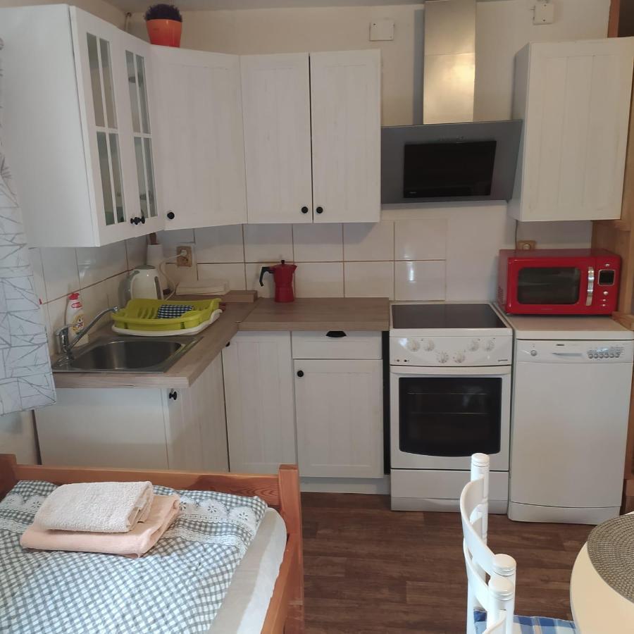 Apartment Dvorecna