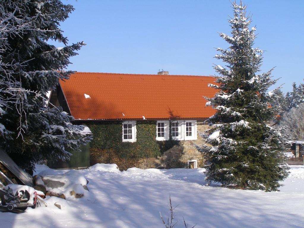 Dvorecna Apartment Loucovice