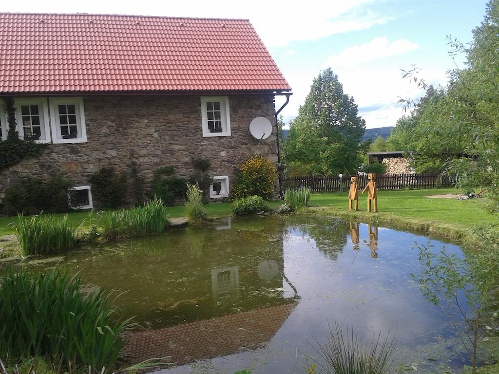 Apartment Dvorecna