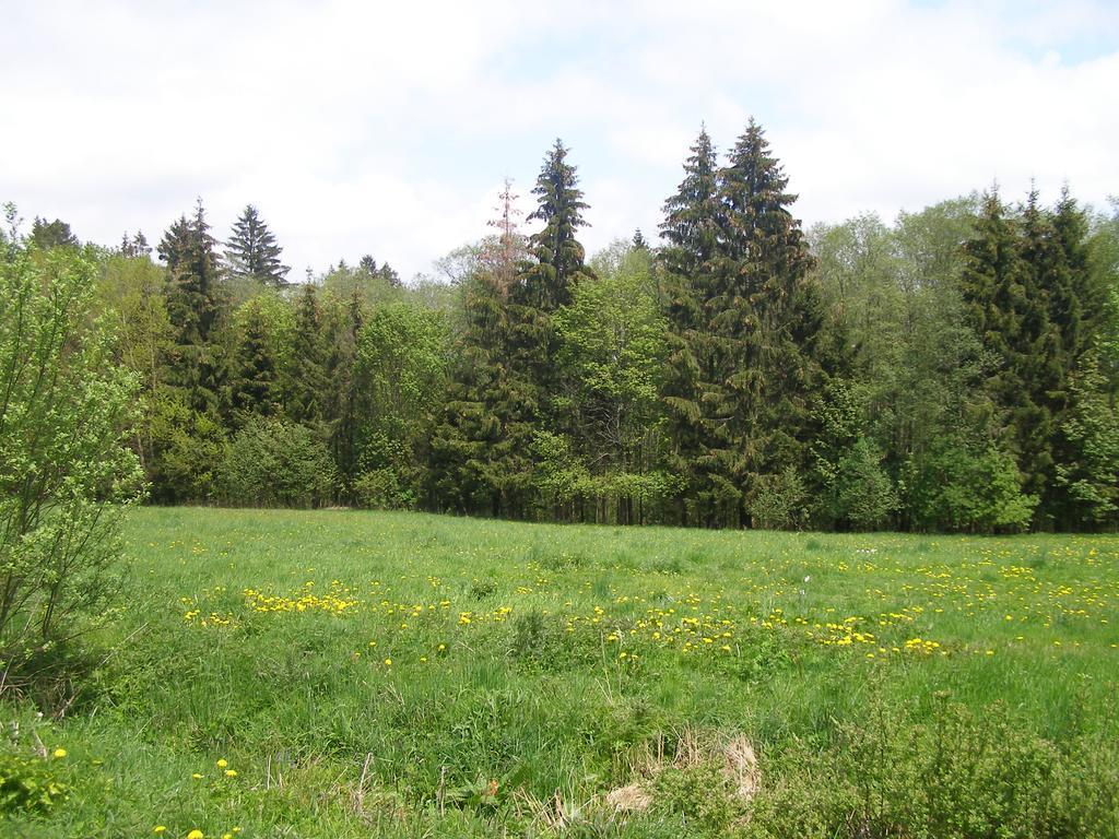 Apartment Dvorecna