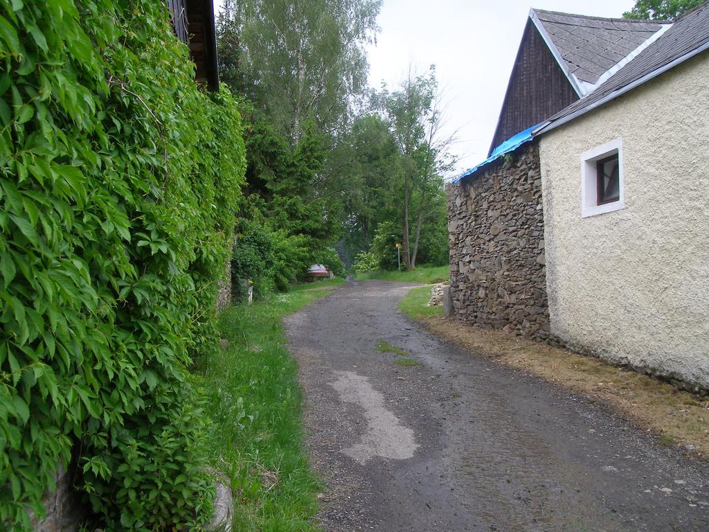 Apartment Dvorecna