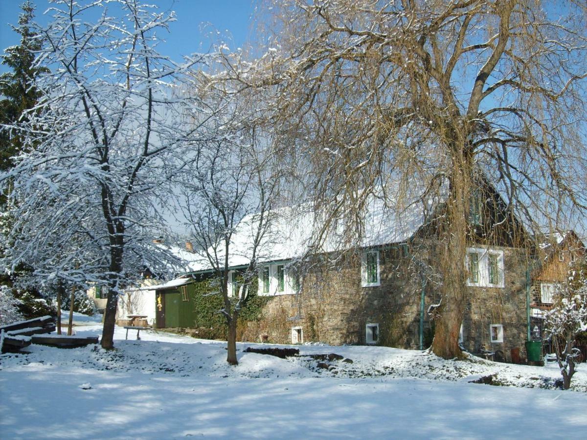 Dvorecna Apartment