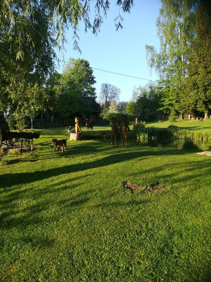 Apartment Dvorecna *